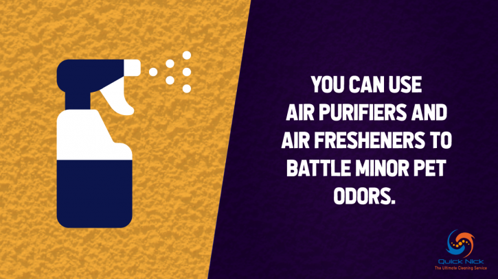 Image for Tips for Quick Pet Odor & Stain Removal, TX with ID of: 2941085