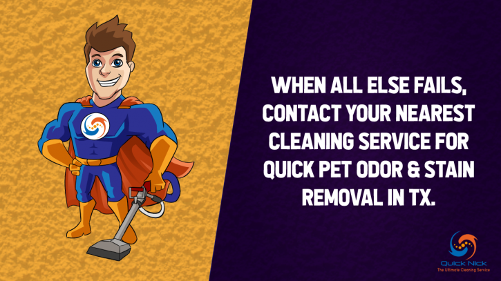 Image for Tips for Quick Pet Odor & Stain Removal, TX with ID of: 2941091