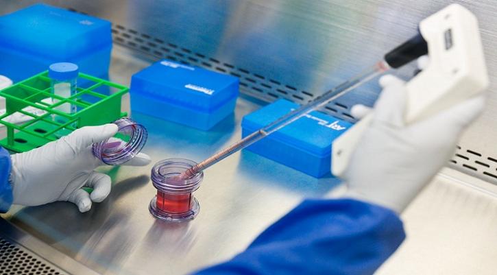 Image for Esoteric Testing Market Growth Analysis and Future Demand with Forecast up to 2024 with ID of: 2942294