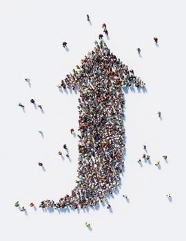 Image for Pat Arcady Consulting with ID of: 2943531