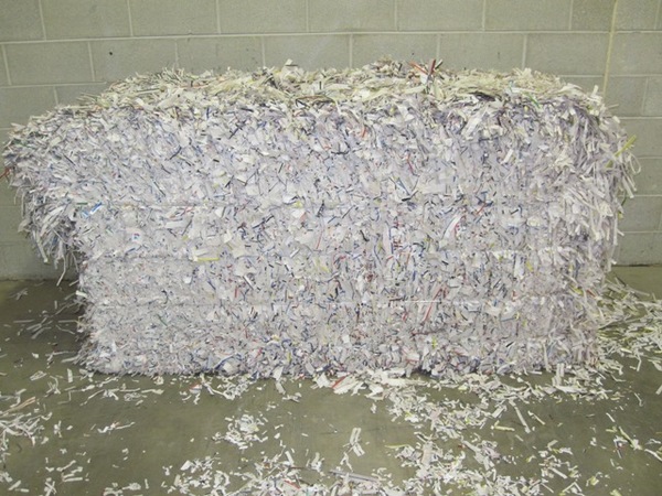 Image for Shred Spot with ID of: 2944172