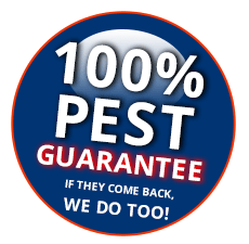 Image for Elite Pest Control with ID of: 2946991