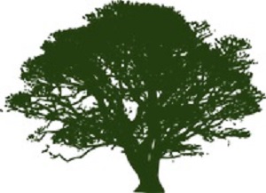 Image for Trinity Tree Service Alexandria with ID of: 2949936