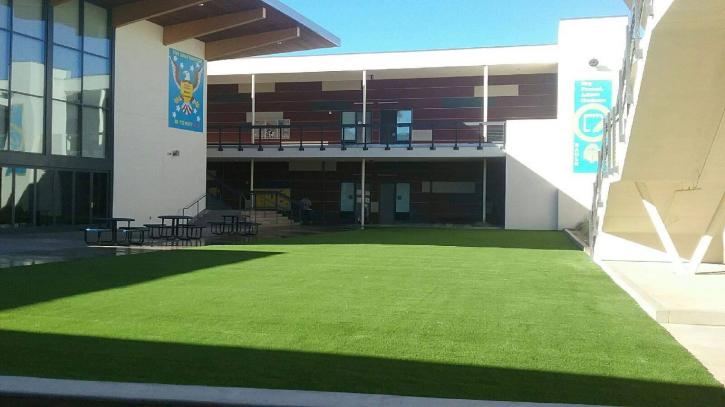 Image for Save Pro Turf with ID of: 2950150