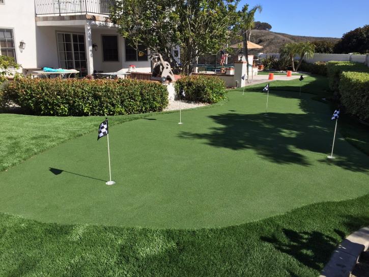 Image for Save Pro Turf with ID of: 2950151