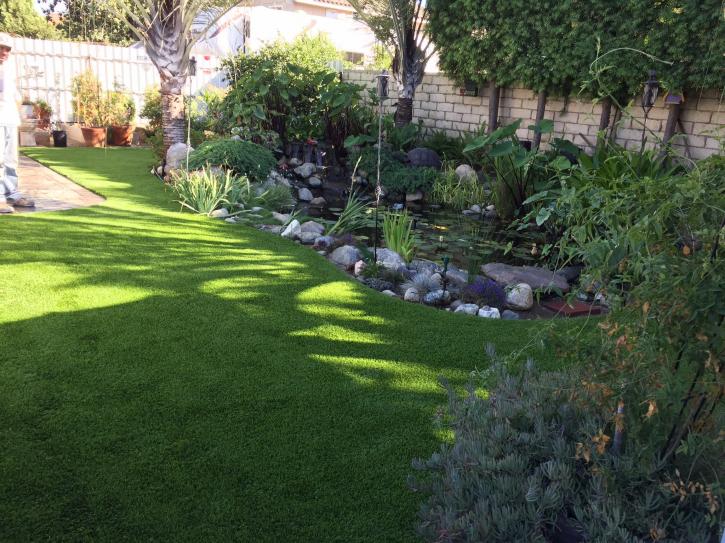 Image for Save Pro Turf with ID of: 2950152