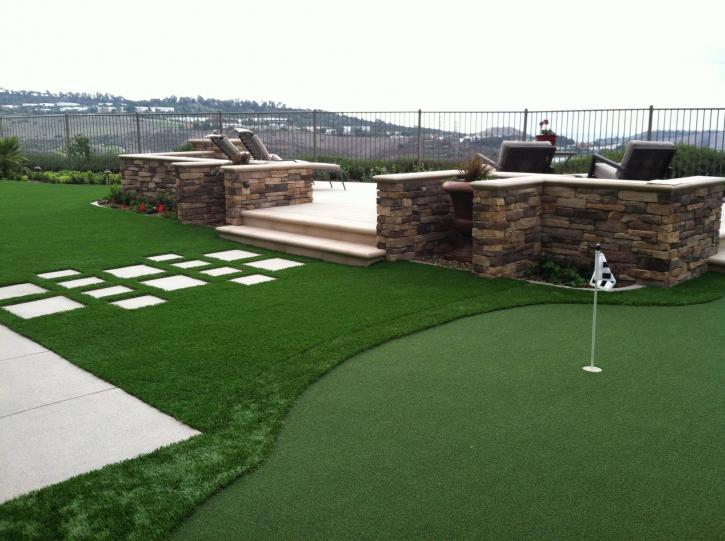 Image for Save Pro Turf with ID of: 2950153