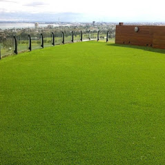 Image for Got Turf Las Vegas with ID of: 2950354