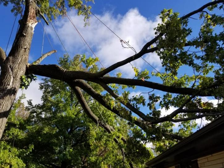 Image for Brown Storm Service with ID of: 2951049