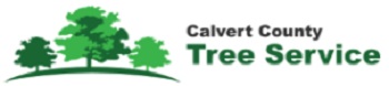 Image for Calvert County Tree Service with ID of: 2951135