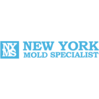 Image for New York Mold Specialist with ID of: 2952067