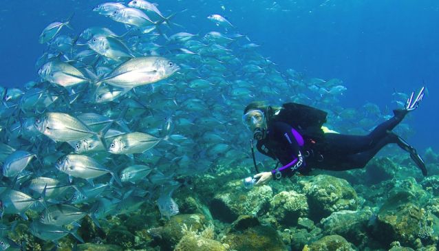 Image for Sulawesi Diving Holiday with ID of: 2954876