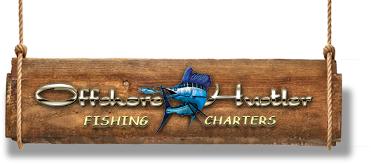 Image for OffshoreHustler with ID of: 2955574