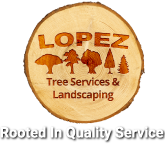 Image for Lopez Tree Service with ID of: 2957486