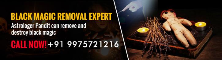 Image for Enemy problem solution specialist  with ID of: 2957919