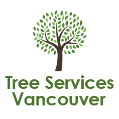 Image for Vancouver Tree Services with ID of: 2958926