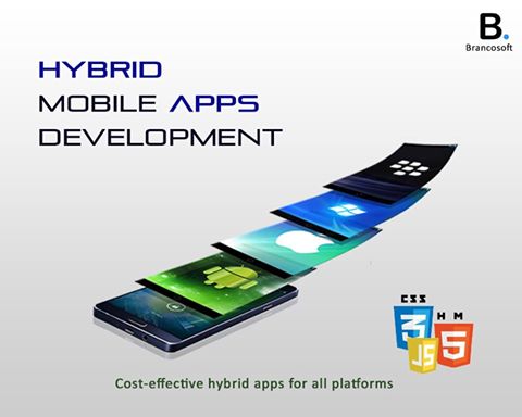 Image for BrancoSoft Private Limited with ID of: 2959102