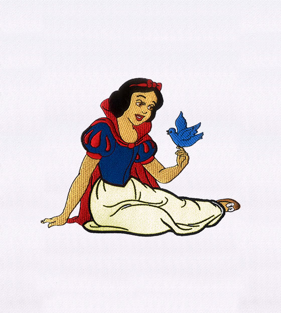 Image for Professional Digitizing Services with ID of: 2961274