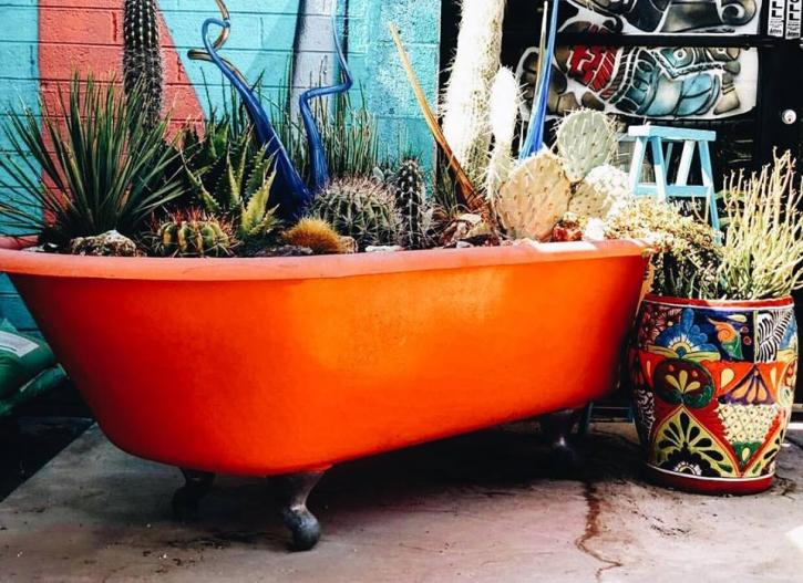 Image for Dig It Gardens with ID of: 2963741
