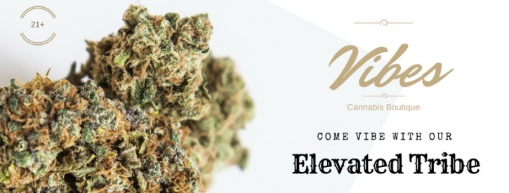 Image for Vibes Cannabis Boutique with ID of: 2963774