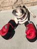 Image for TITLE Boxing Club Carlsbad, CA with ID of: 2965271
