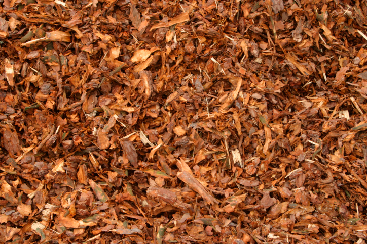 Image for Jayz Landscaping with ID of: 2972019