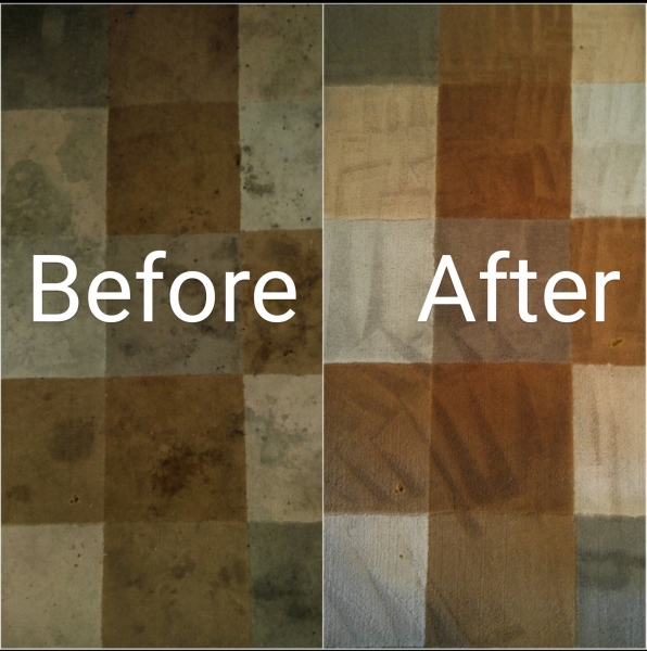Image for How to Hire Carpet Cleaning Services in Ottawa, ON Canada with ID of: 2972366