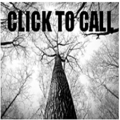 Image for Charlotte Tree Removal with ID of: 2973226