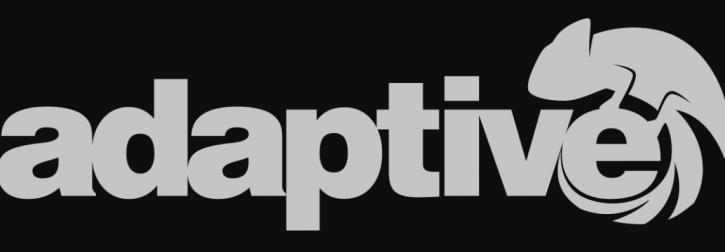 Image for Adaptive with ID of: 2973249