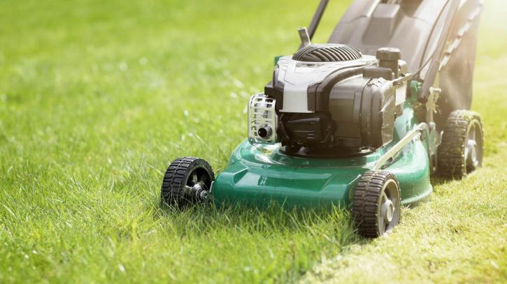 Image for Lineberry Lawn Care with ID of: 2974355