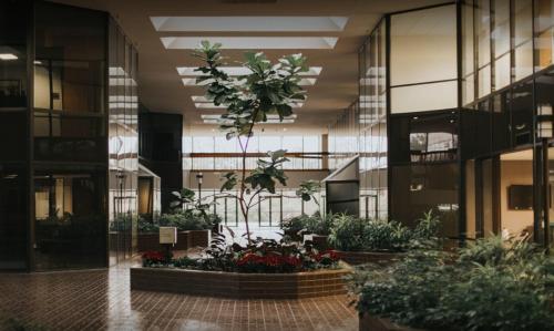 Image for Executive Workspace with ID of: 2978098