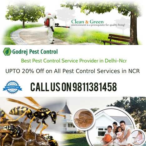 Image for Efficient Termite treatment Gurgaon, dial +91-9811381458 with ID of: 2978390