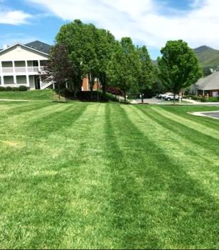 Image for Forever Green Lawn Care LLC with ID of: 2978407