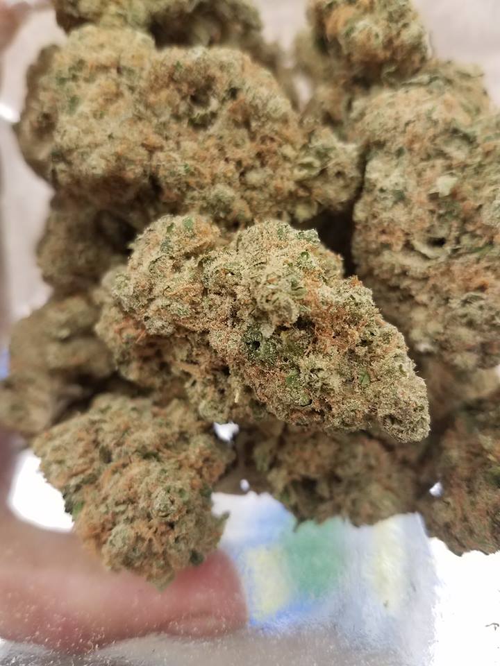 Image for Spark Dispensary with ID of: 2980669