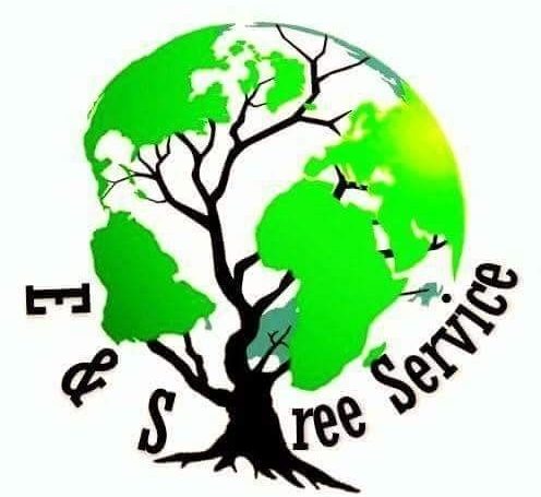 Image for E&S Tree Service with ID of: 2981048