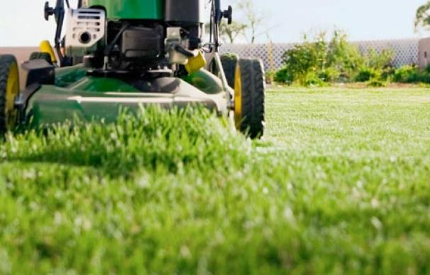Image for Proven Tips for Create a Perfect Organic Garden through Ottawa lawn care companies | Murraylandscaping with ID of: 2982313