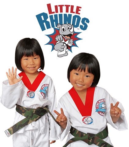 Image for 1st Class Martial Arts with ID of: 2982376