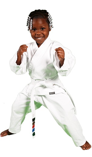 Image for 1st Class Martial Arts with ID of: 2982377