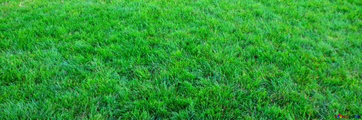 Image for M3 Artificial Grass & Turf Installation Miami with ID of: 2983324