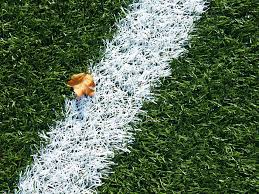 Image for M3 Artificial Grass & Turf Installation Miami with ID of: 2984353