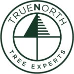 Image for True North Tree Expert |Canada with ID of: 2984586