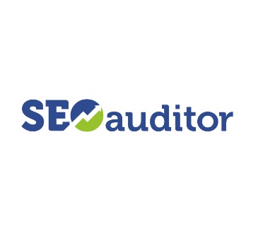 Image for SEO Auditor with ID of: 2985904