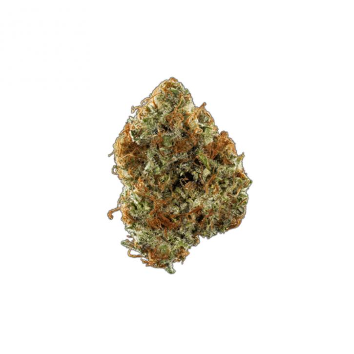 Image for Solace Meds with ID of: 2986976