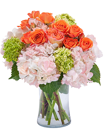 Image for Brown Floral with ID of: 2987066