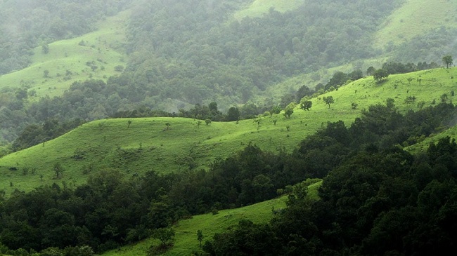 Image for Benefits of Choosing One-Day Tour Packages with ID of: 2987774