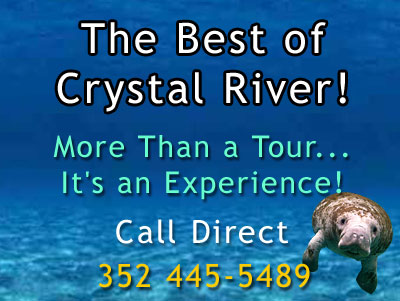 Image for Family Adventure Charters with ID of: 2987809