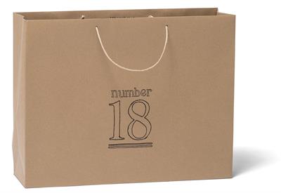 Image for Paper Bag in Delhi with ID of: 2988266