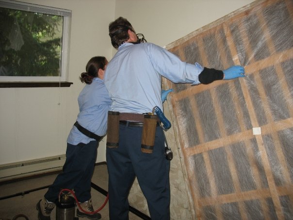 Image for Whitworth Pest Solutions Inc with ID of: 2989928