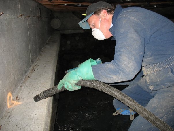 Image for Whitworth Pest Solutions Inc with ID of: 2989929