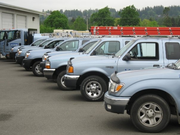 Image for Whitworth Pest Solutions Inc with ID of: 2989930
